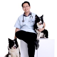 Dr. Lee Ee Liang